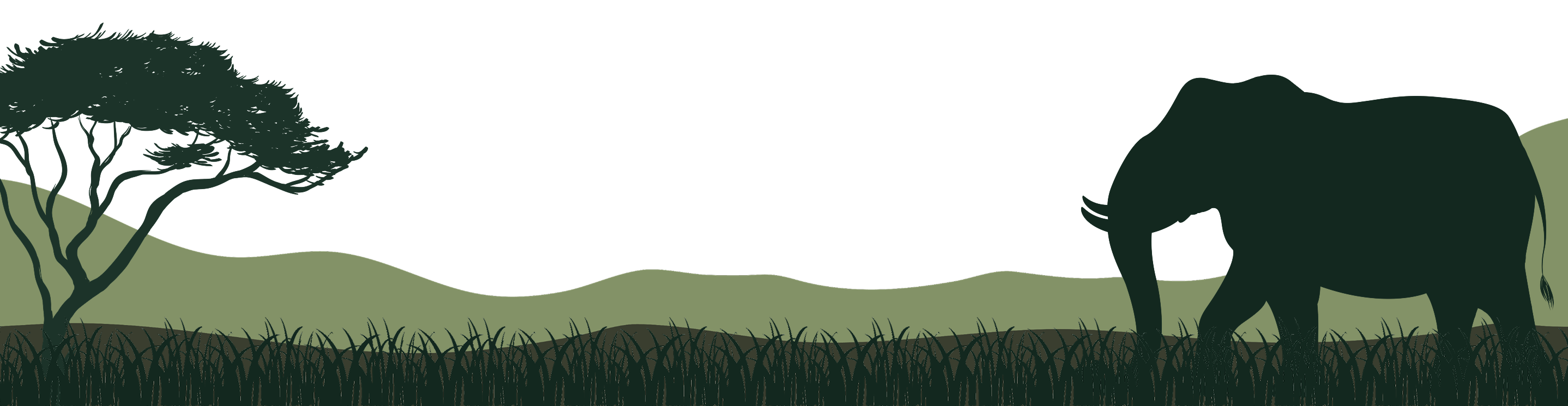Footer Background