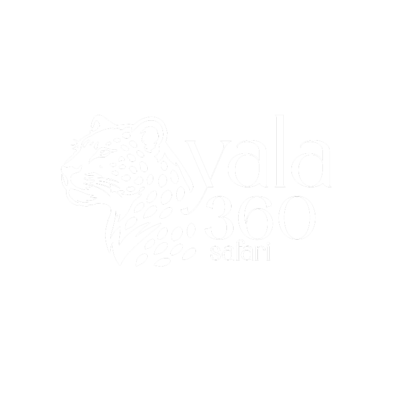 Yala 360 Safari